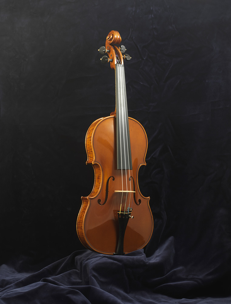 Violin Federico Falaschi