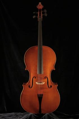 Falaschi 2020 cello.jpg