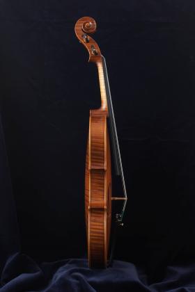 violino 2020 profilo.jpg
